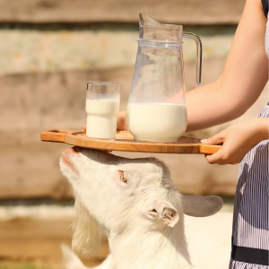 Virale Ziegenmilchseife – Ein Must-Have in deiner Hautpflege